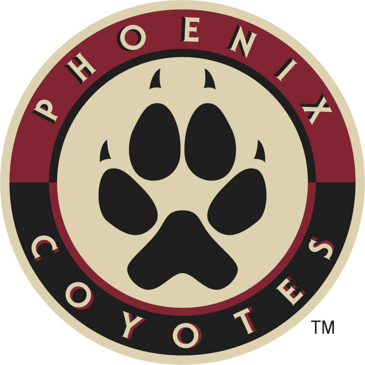 Arizona Coyotes 2008 09-2013 14 Alternate Logo vinyl decal